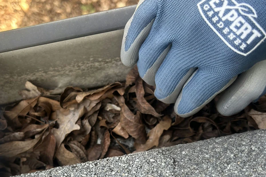 Gutter Cleaning Manchester, MO